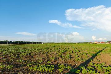 Фото №2: Коммерция 150 м² - Цибанобалка, ул. Заречная, 10Б