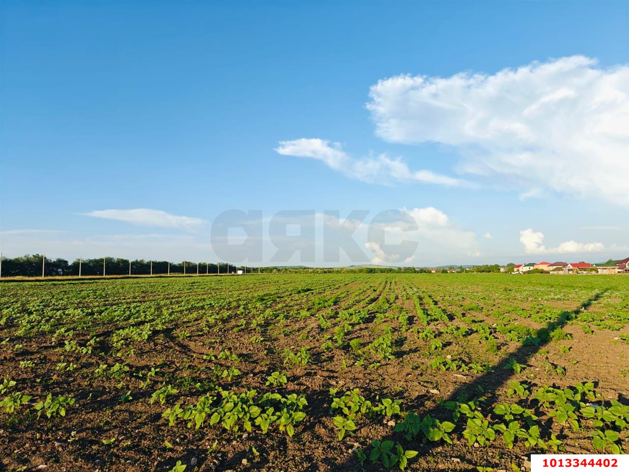 Фото №2: Коммерция 150 м² - Цибанобалка, ул. Заречная, 10Б