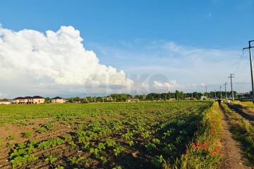 Фото №1: Коммерция 150 м² - Цибанобалка, ул. Заречная, 10Б