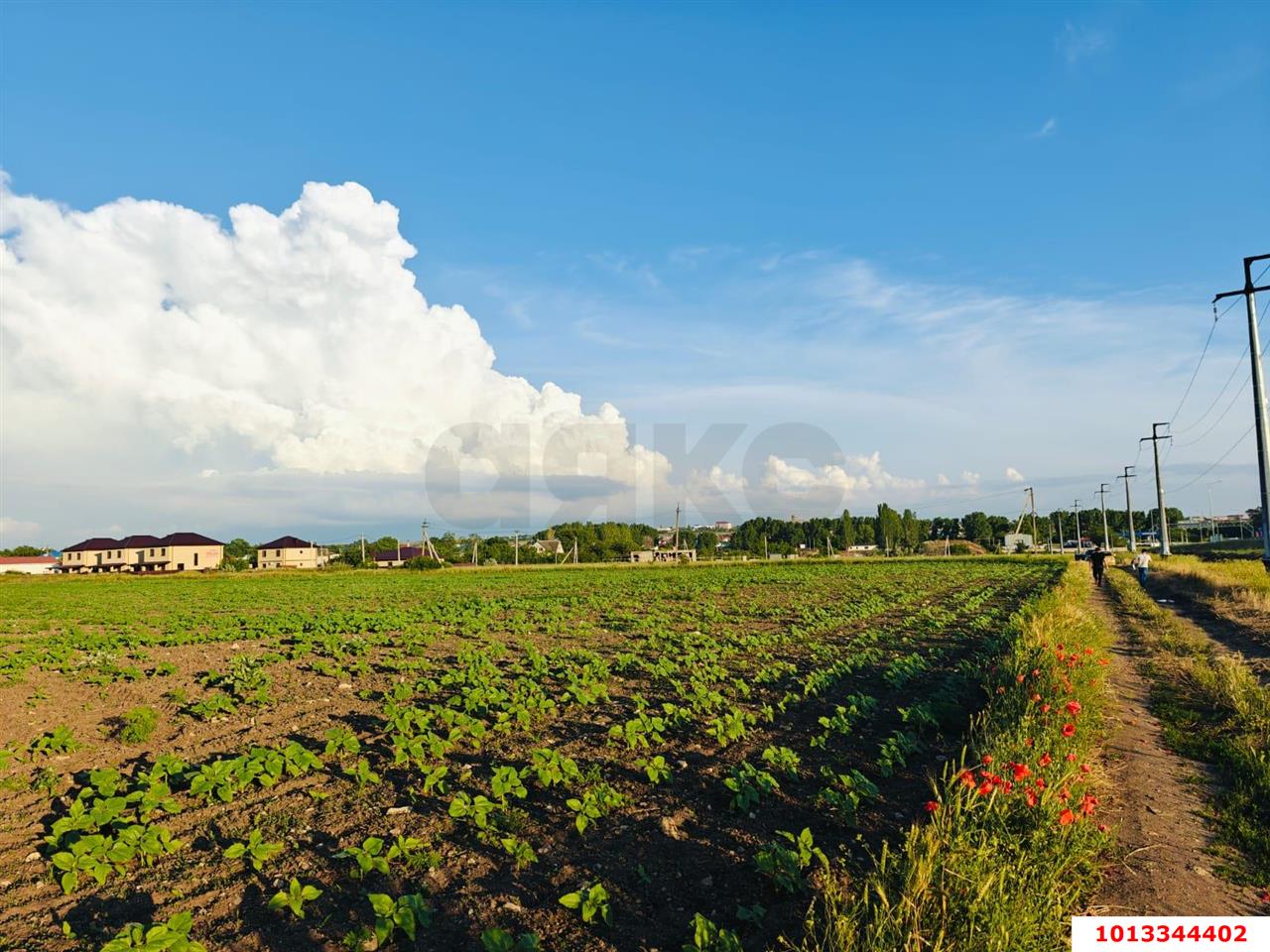 Фото №1: Коммерция 150 м² - Цибанобалка, ул. Заречная, 10Б