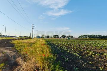 Фото №4: Коммерция 150 м² - Цибанобалка, ул. Заречная, 10Б