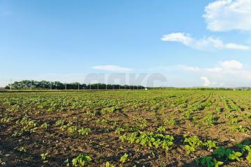 Фото №5: Коммерция 150 м² - Цибанобалка, ул. Заречная, 10Б