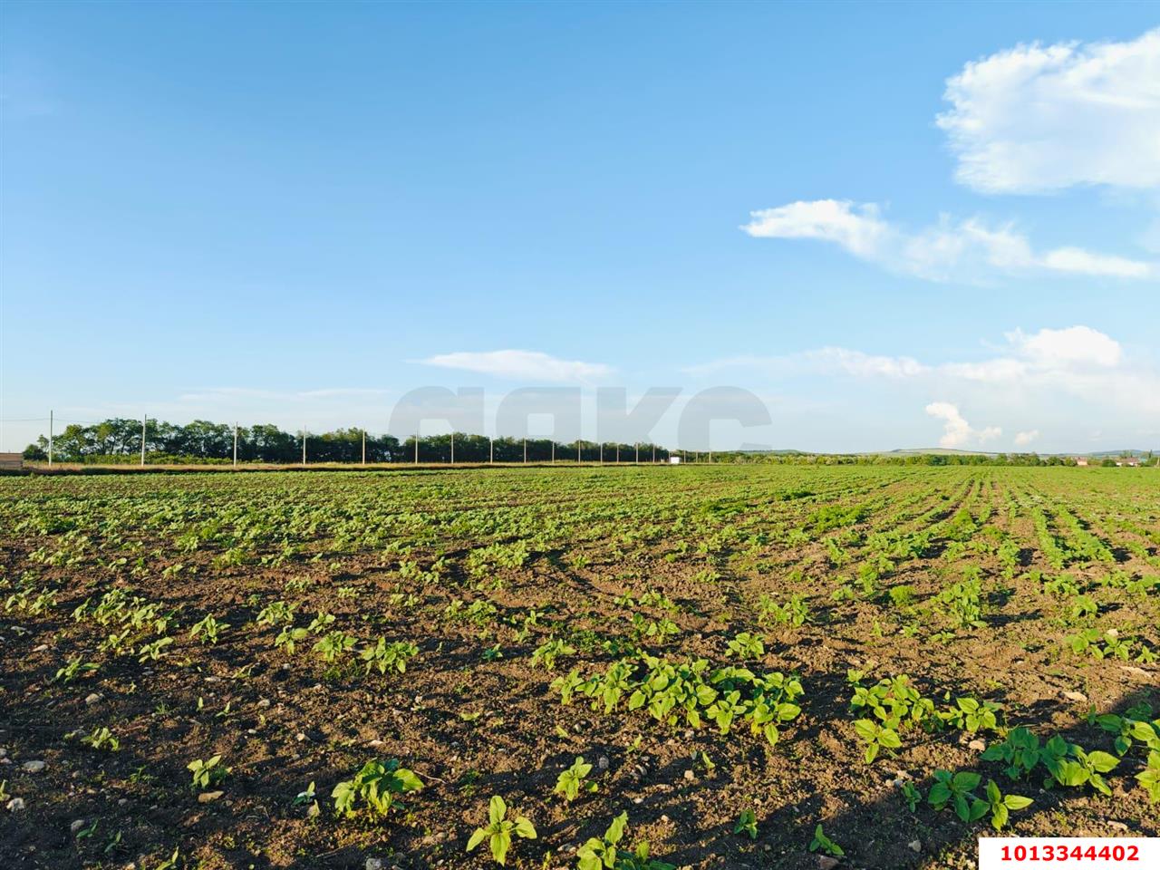 Фото №5: Коммерция 150 м² - Цибанобалка, ул. Заречная, 10Б