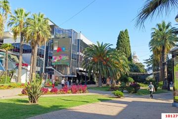 Фото №4: Коммерция 1138 м² - Сочи, р. Центральный, ул. Навагинская, 7/3