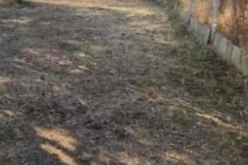 Фото №2: Земельный участок 4 сот. - Краснодар, ст КНИИСХ, ул. Ореховая