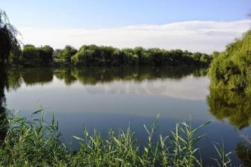 Фото №1: Коммерция 5 м² - Журавлёвка, 