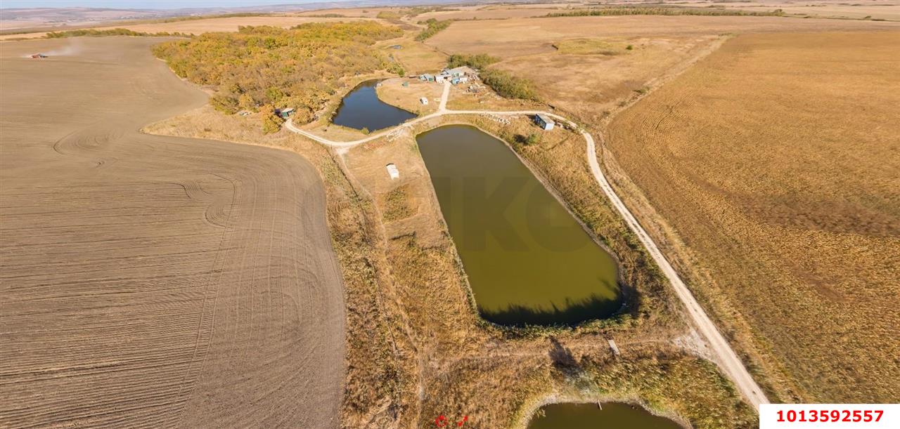 Фото №3: Коммерция 213 м² - Краснодарский край муниципальный округ Анапа