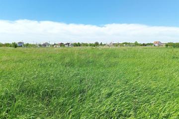 Фото №1: Коммерция 440 м² - Краснодарский край муниципальный округ Анапа