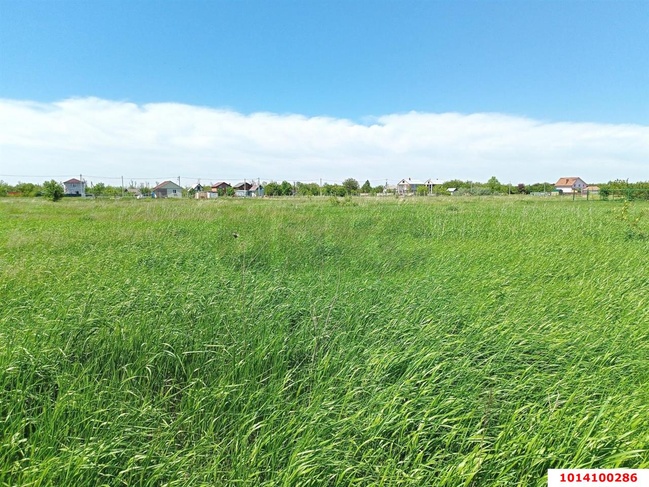 Фото №1: Коммерция 440 м² - Краснодарский край муниципальный округ Анапа