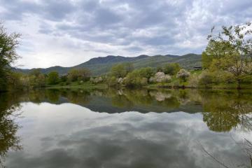 Фото №2: Коммерция 30 м² - Даховская, мкр. Светлоград, ул. Советская, 20