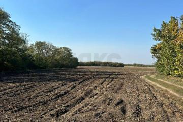 Фото №3: Коммерция 2314 м² - Медвёдовская, мкр. жилой комплекс Гранд Пэлэс, ул. Новая, 1