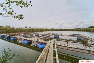 Фото №1: Коммерция 1354 м² - Медвёдовская, мкр. жилой комплекс Москва, ул. Пушкина, 23