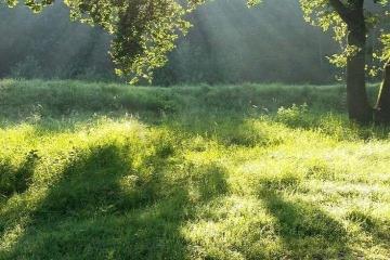 Фото №3: Земельный участок 15 сот. - Зазулин, мкр. Карасунский внутригородской округ, ул. Майкопское шоссе, 77