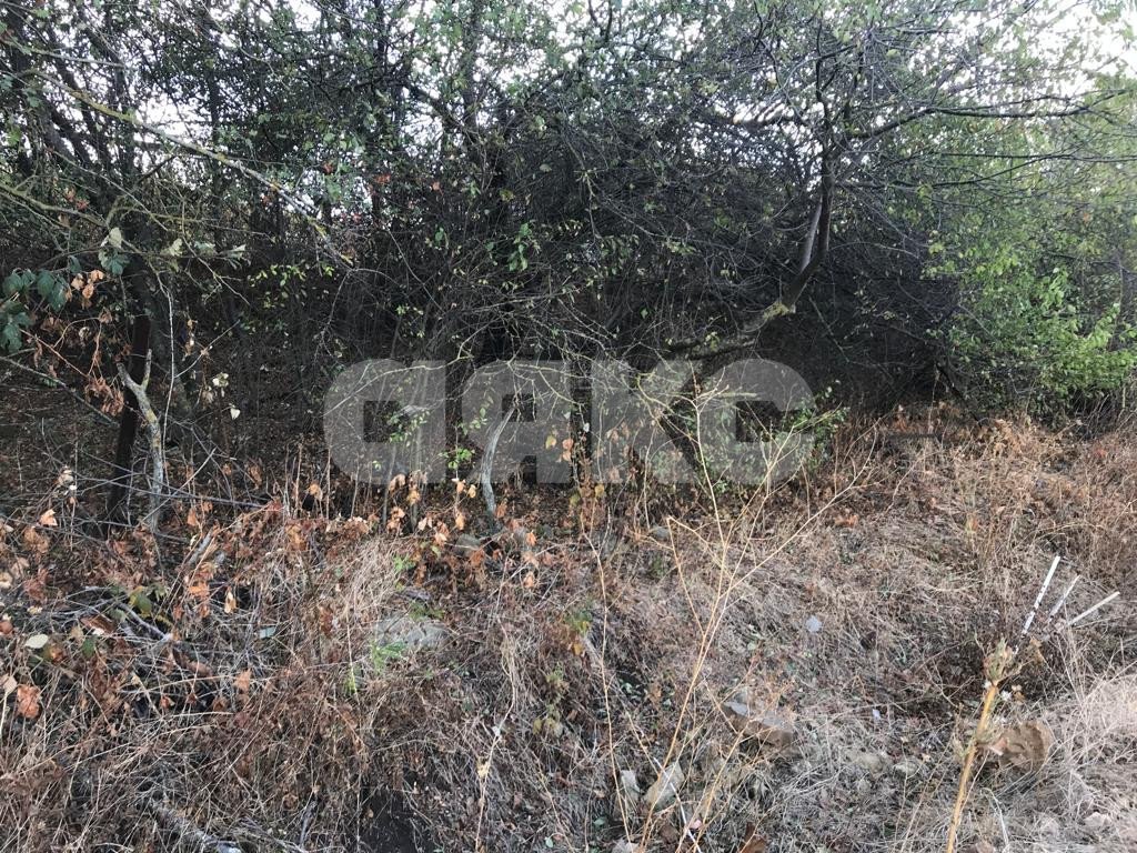 Фото №4: Земельный участок под ИЖС 12 сот. - Супсех, пер. Южный, 20