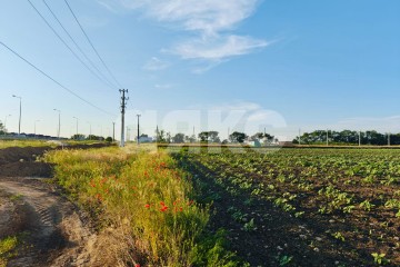 Фото №3: Коммерческая земля - Краснодарский край муниципальный округ Анапа