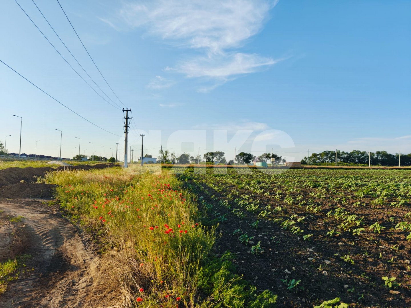 Фото №3: Коммерческая земля 150 сот. - Краснодарский край муниципальный округ Анапа