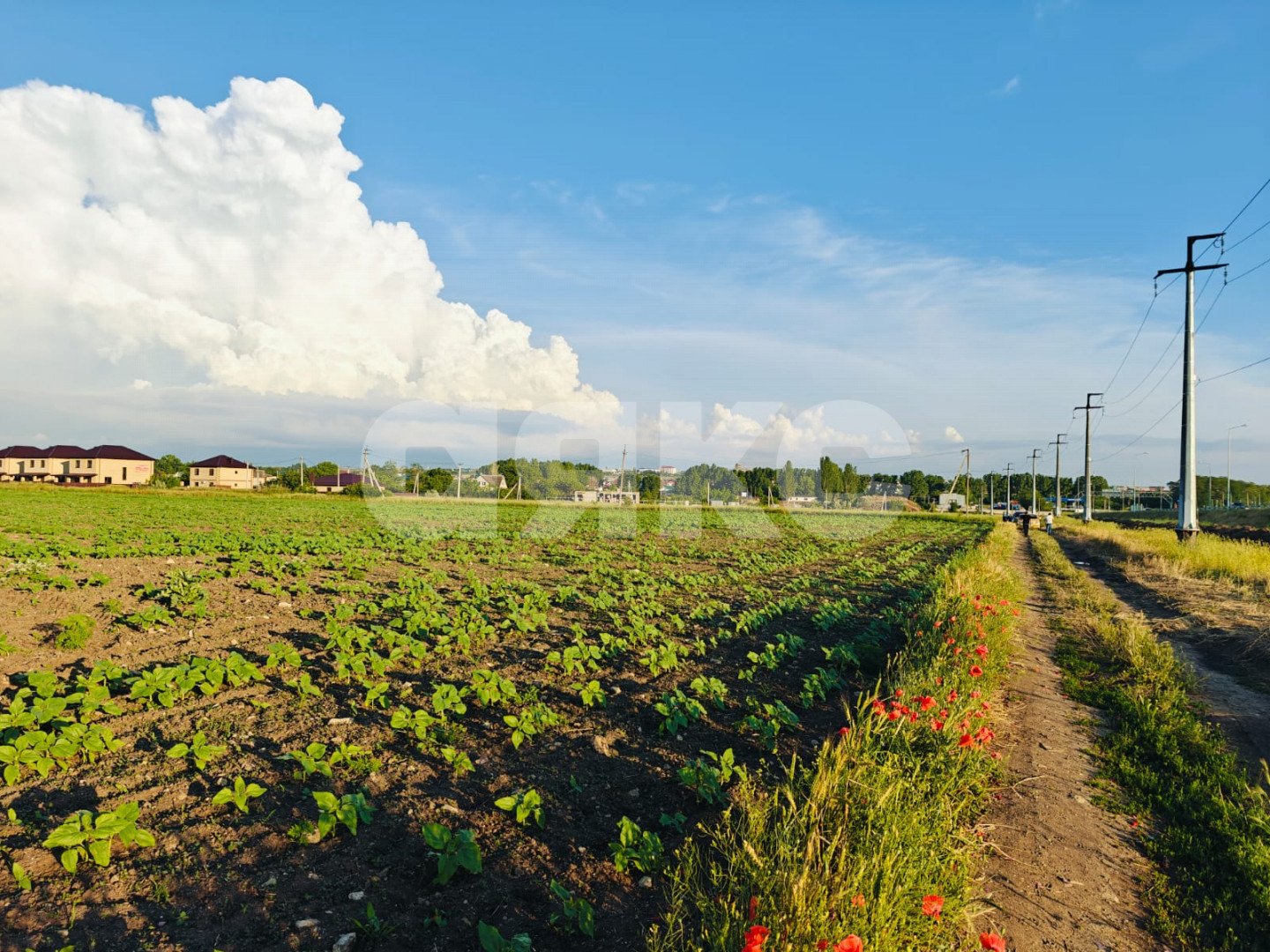 Фото №2: Коммерческая земля 150 сот. - Краснодарский край муниципальный округ Анапа