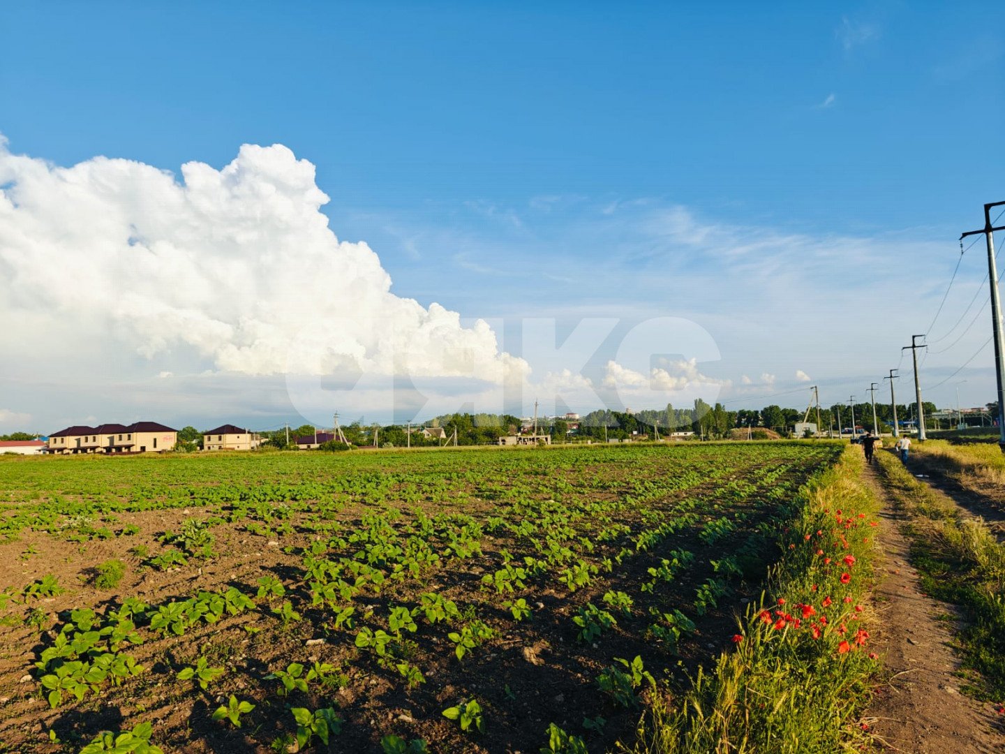 Фото №4: Коммерческая земля 150 сот. - Краснодарский край муниципальный округ Анапа