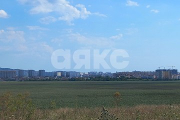 Фото №5: Личное подсобное хозяйство - Чембурка, пр-д Малый