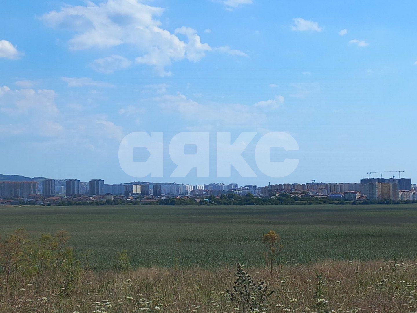 Фото №5: Личное подсобное хозяйство 6.59 сот. - Чембурка, пр-д Малый