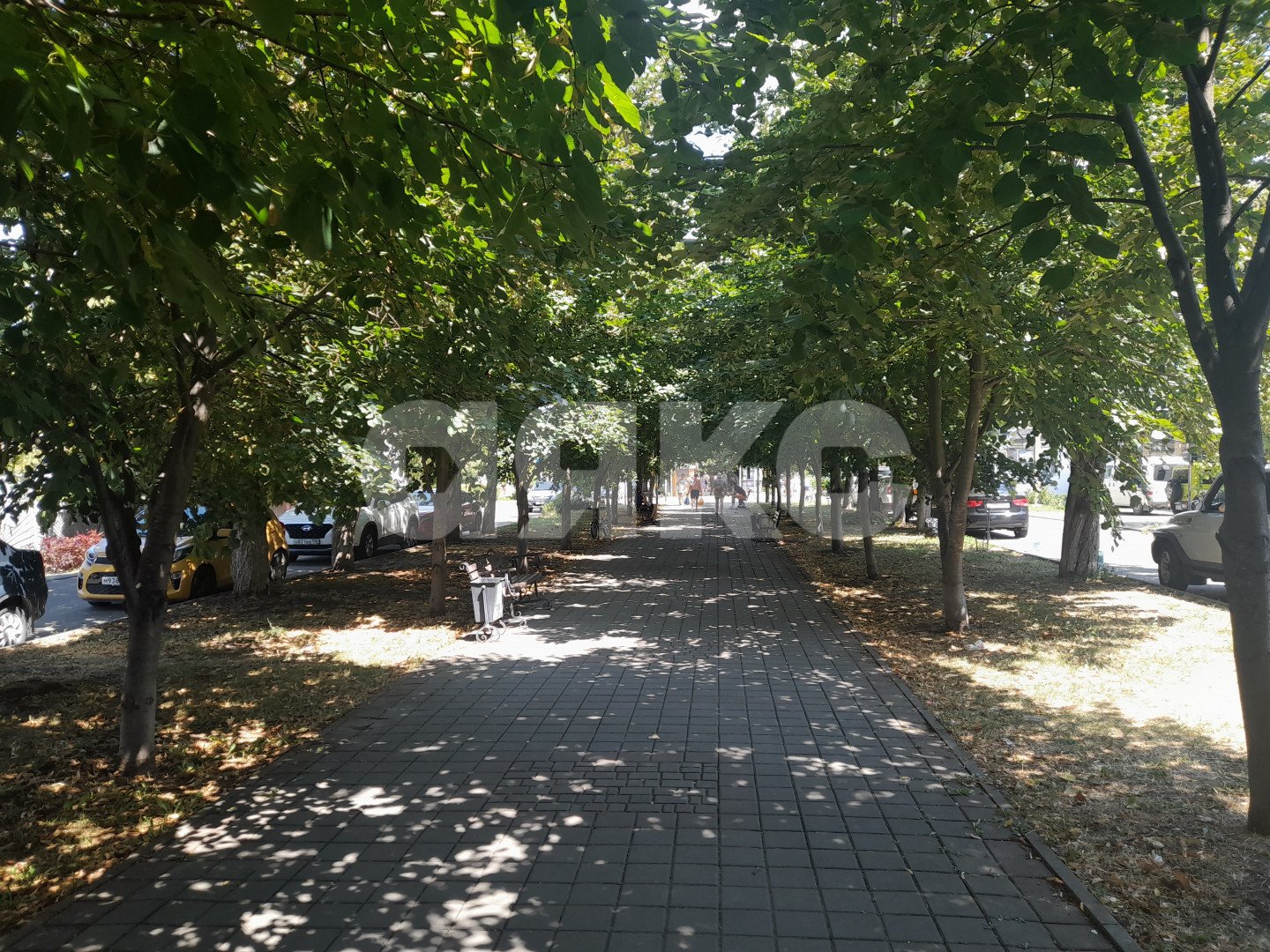 Фото №14: Земельный участок под ИЖС 708 сот. - Анапа, мкр. Парковый, ул. Кати Соловьяновой, 72