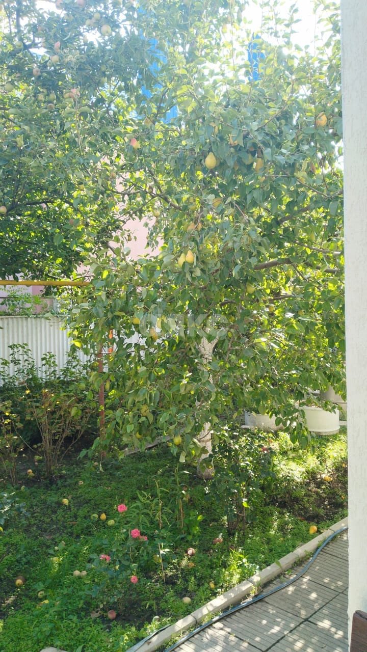 Фото №31: Дом 250 м² + 3.6 сот. - Анапа, мкр. Алексеевка, пр-д Садовый, 8