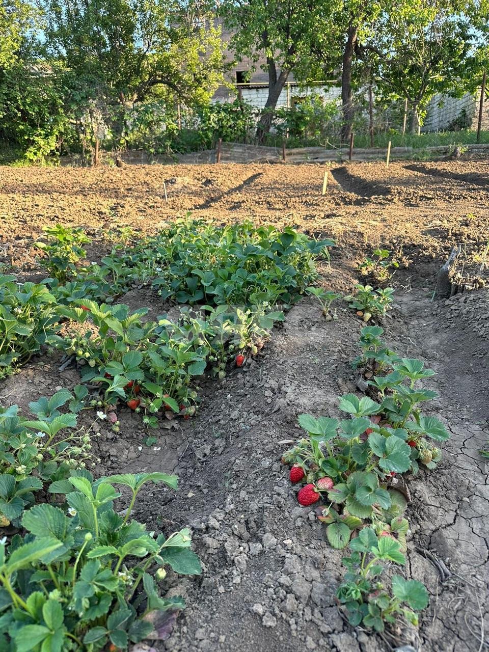 Фото №18: Дача 65 м² + 15 сот. - Гай-Кодзор, ул. Новосёлов, 24