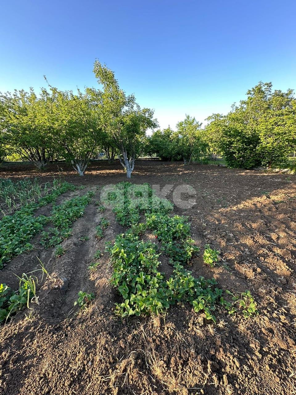 Фото №16: Дача 65 м² + 15 сот. - Гай-Кодзор, ул. Новосёлов, 24