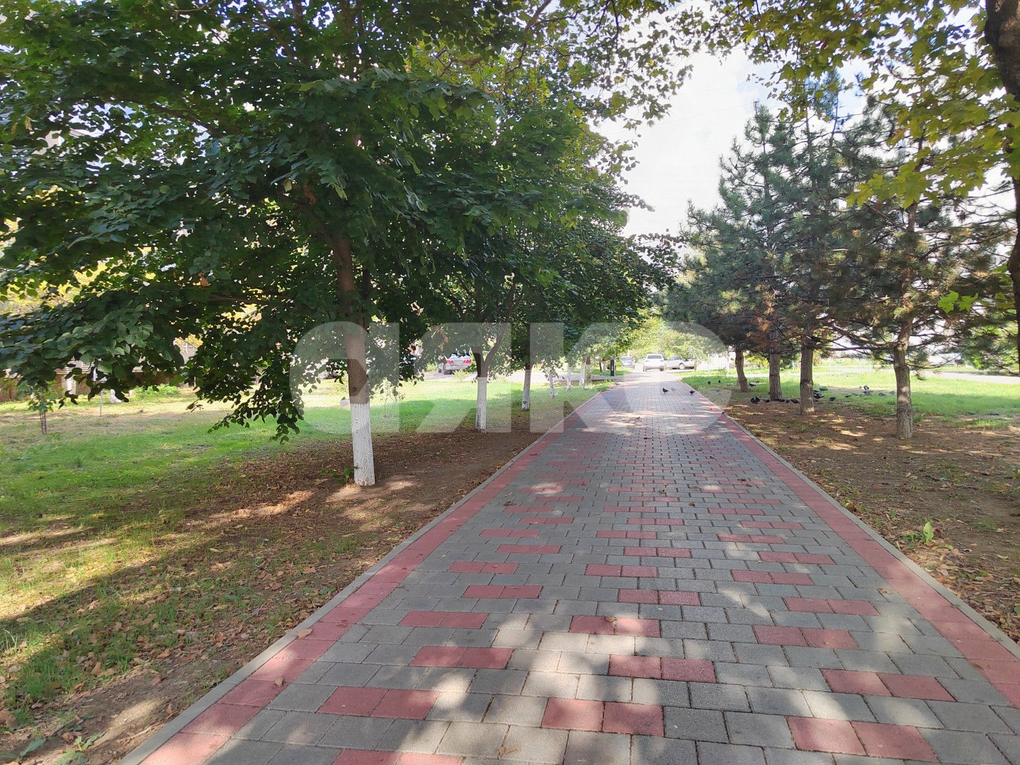 Фото №29: Студия 25 м² - Анапа, 3А, мкр. 3А, ул. Владимирская, 114к1