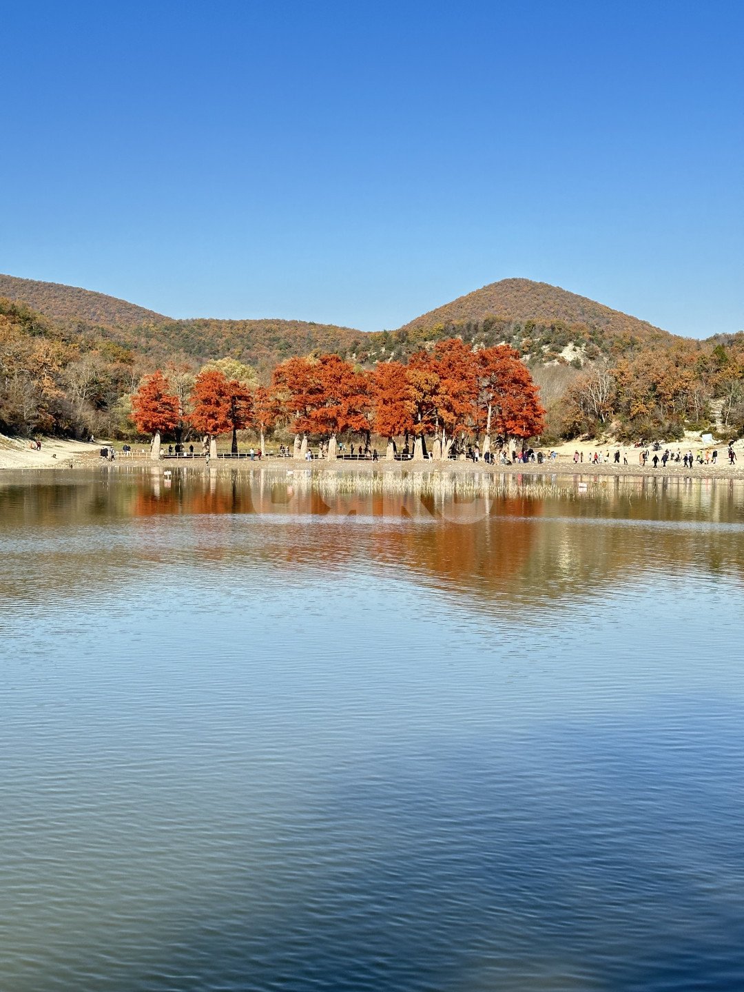 Фото №9: Земельный участок под ИЖС 6 сот. - Сукко, п. коттеджный  Утришский