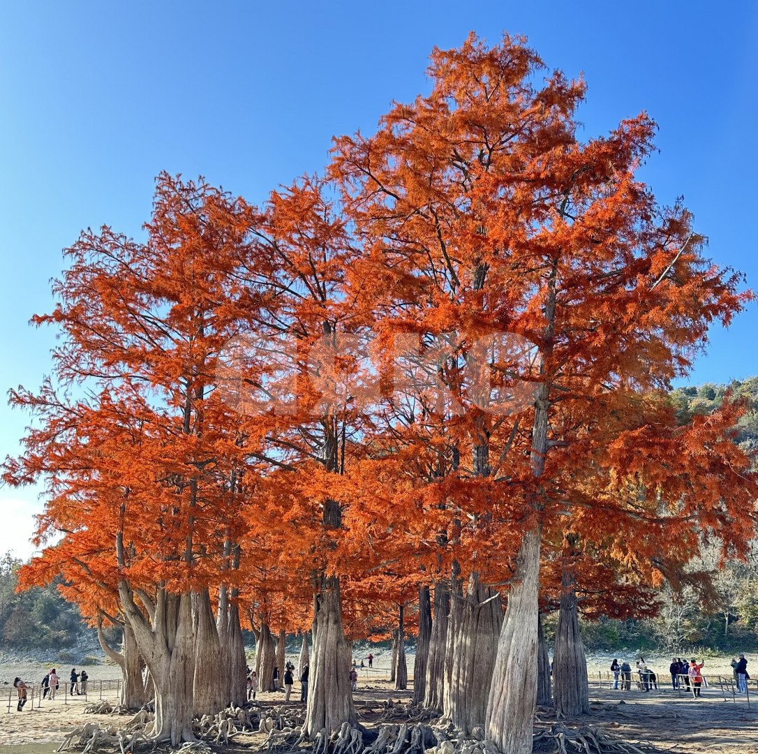 Фото №11: Земельный участок под ИЖС 6 сот. - Сукко, п. коттеджный  Утришский