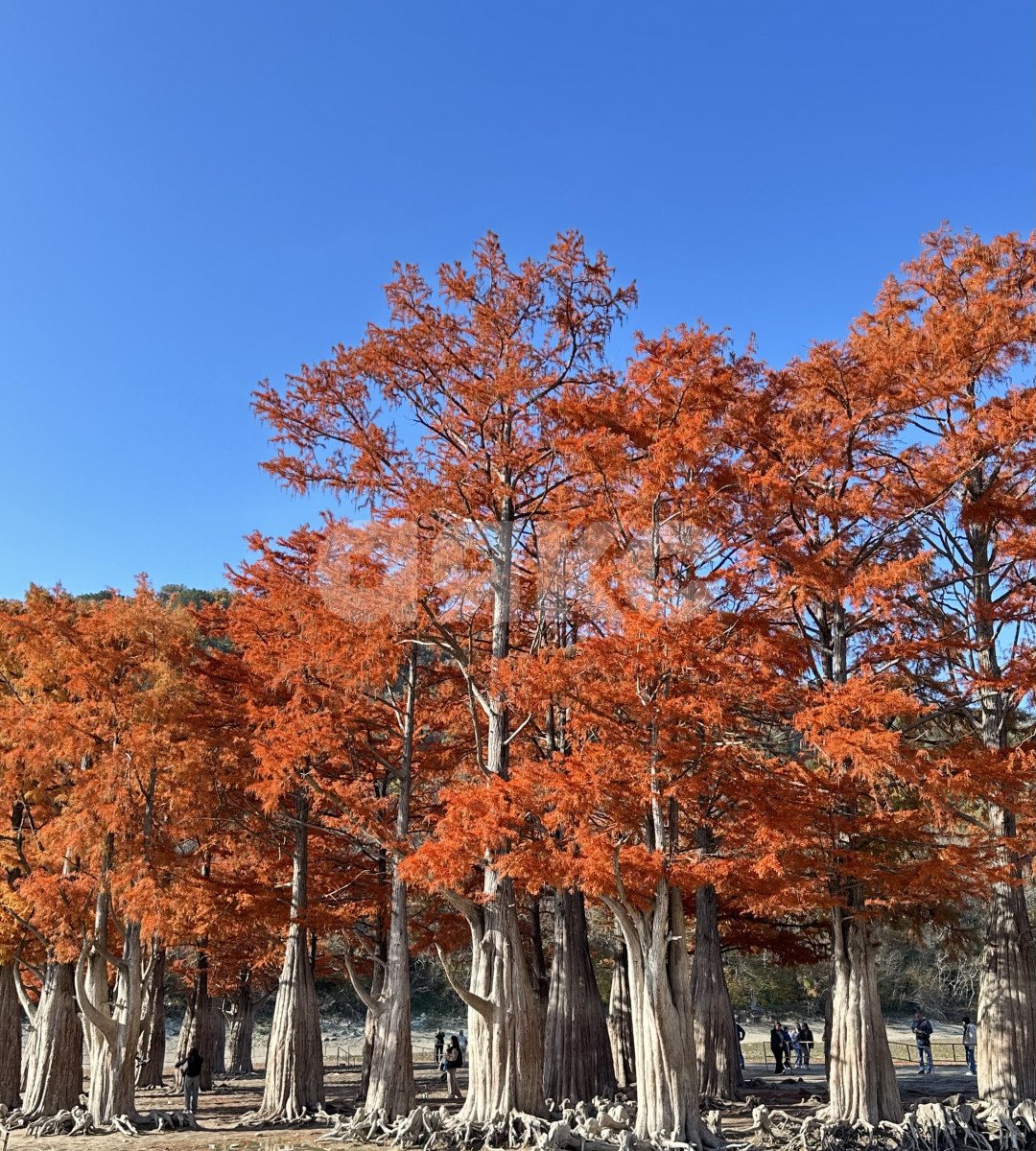 Фото №10: Земельный участок под ИЖС 6 сот. - Сукко, п. коттеджный  Утришский