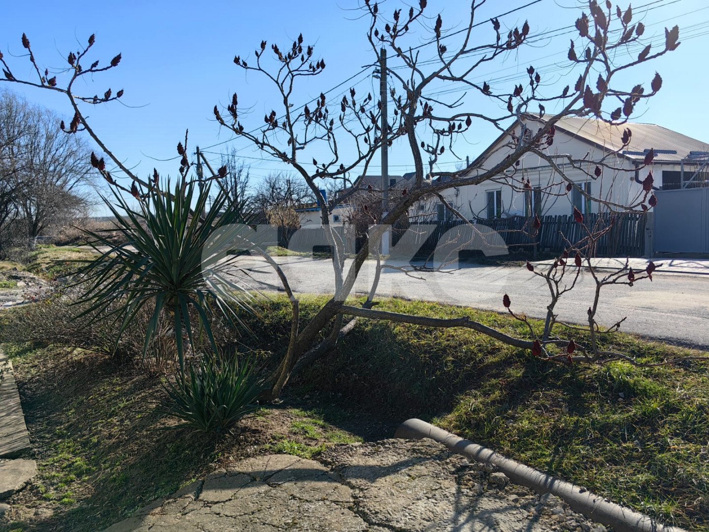 Фото №10: Личное подсобное хозяйство 10 сот. - Витязево, ул. Курганная