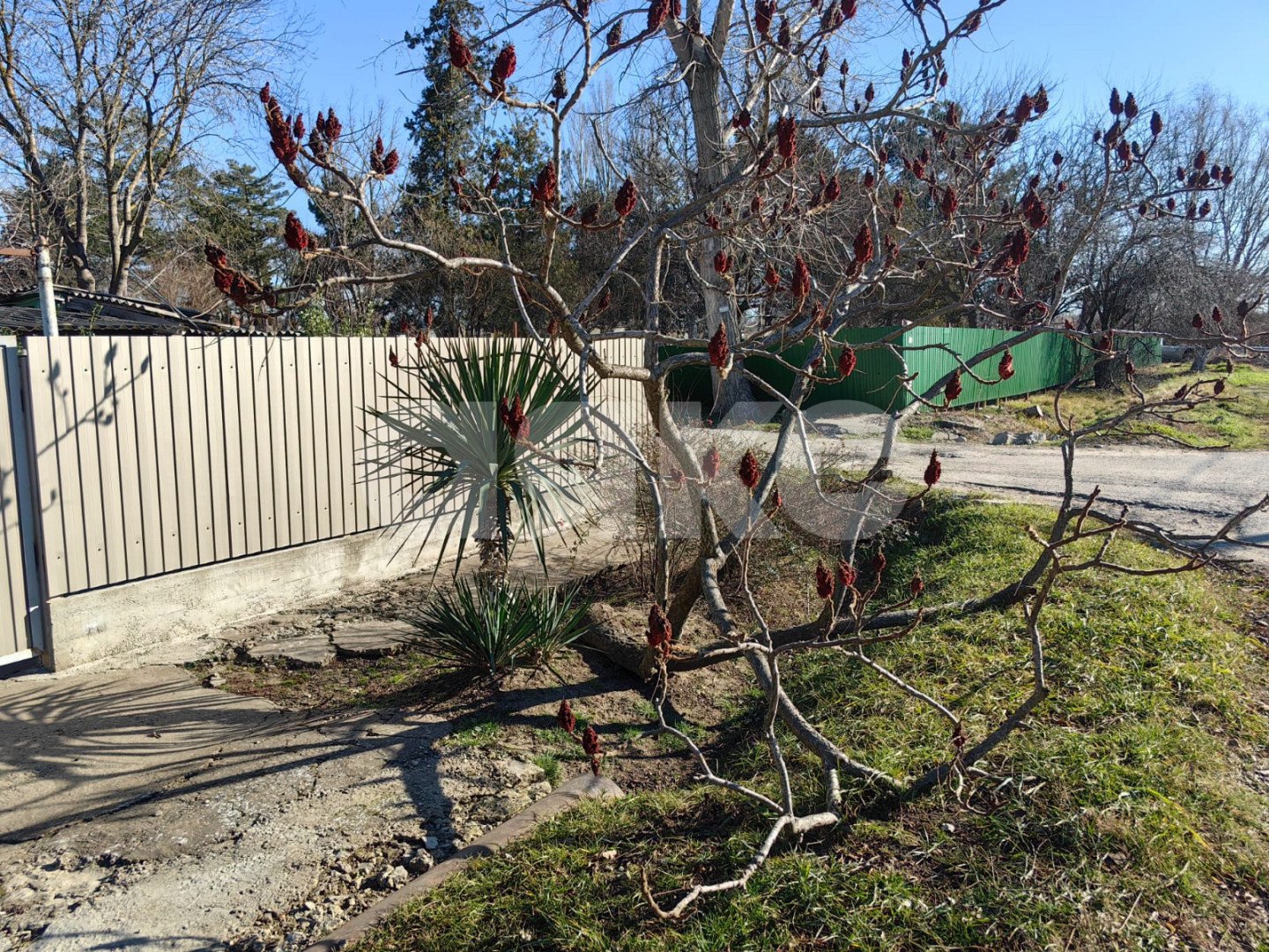 Фото №11: Личное подсобное хозяйство 10 сот. - Витязево, ул. Курганная