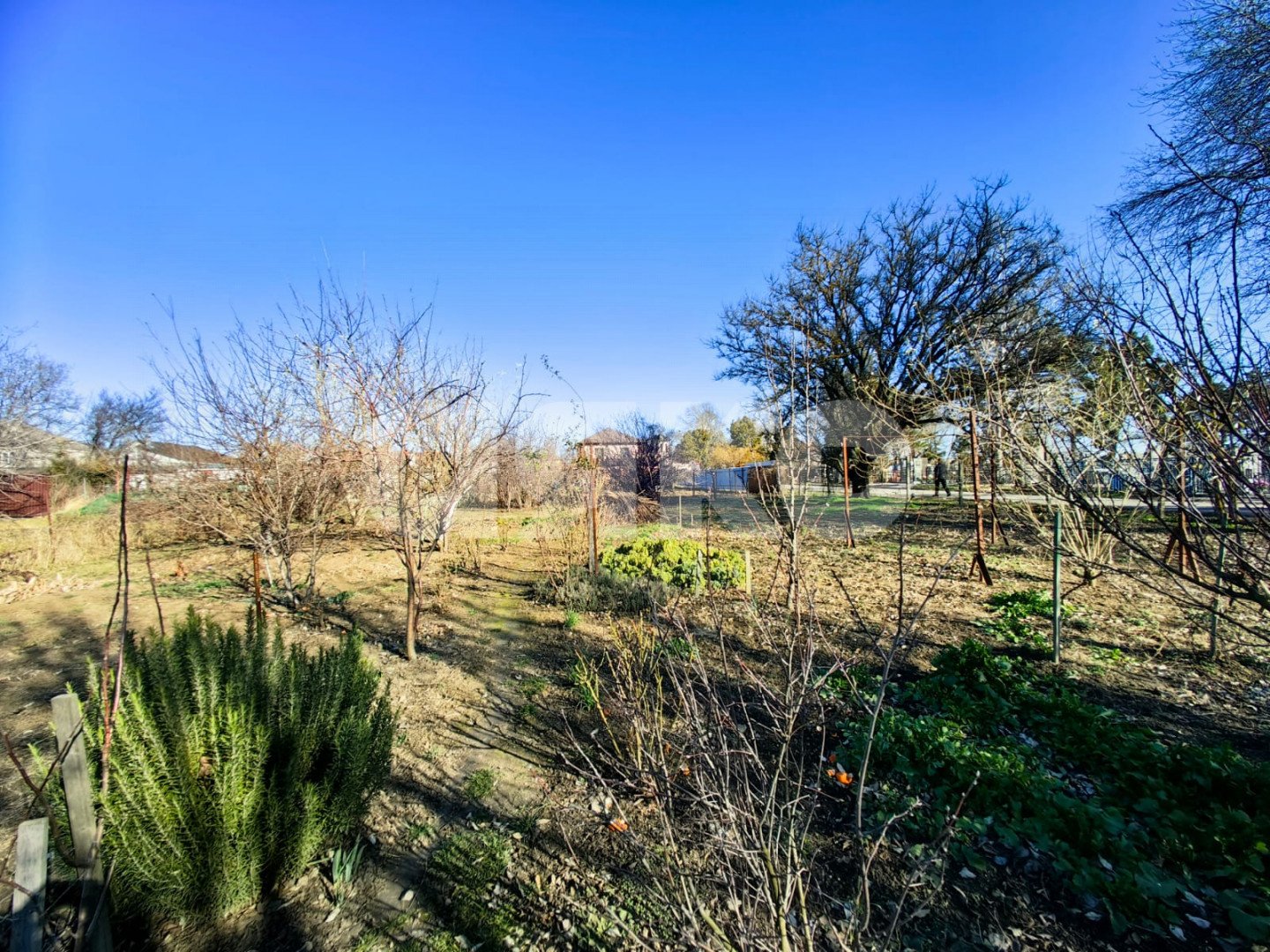 Фото №12: Личное подсобное хозяйство 10 сот. - Витязево, ул. Курганная