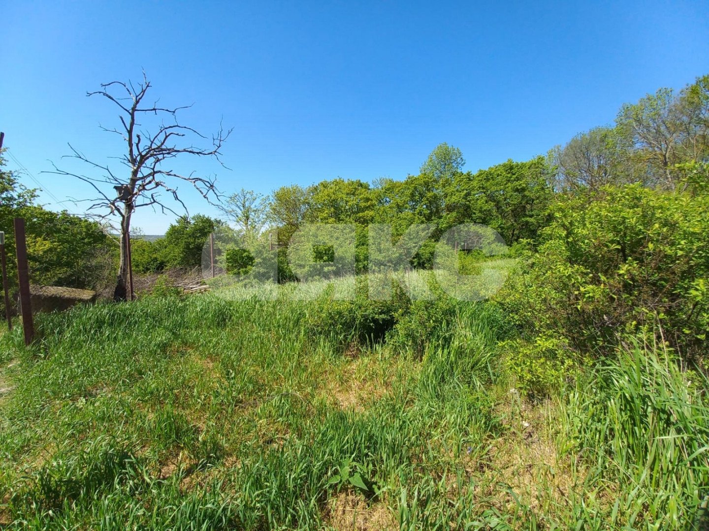 Фото №6: Участок садоводство 6.12 сот. - СНТ Здоровье, ул. Земляничная, 11