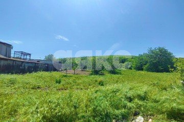 Фото №4: Личное подсобное хозяйство - Бужор, ул. Солнечная