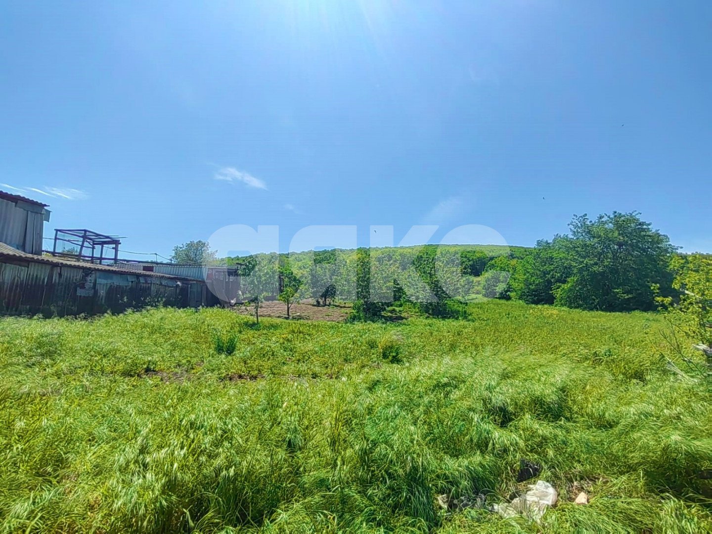 Фото №4: Личное подсобное хозяйство 31 сот. - Бужор, ул. Солнечная