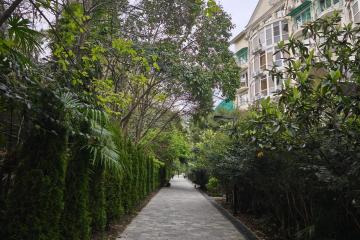 Фото №4: Коммерция 851 м² - Сочи, ж/р Хоста, ул. Кипарисовая, 4