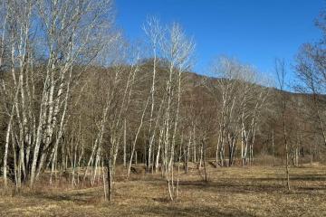 Фото №3: Земельный участок 40.67 сот. - Краснодарский край Северский район