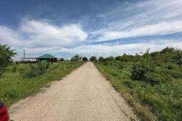 Фото №5: Земельный участок 10 сот. - Супс, 