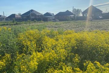 Фото №4: Земельный участок 4.2 сот. - Марьянская, ул. Чарльза Дарвина