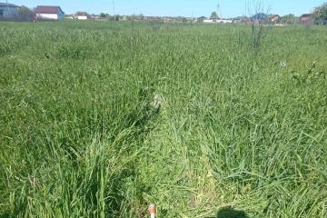 Фото №4: Земельный участок 8.35 сот. - садовое некоммерческое товарищество Авиатор, мкр. Прикубанский внутригородской округ, ул. Липовая, 215