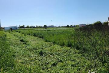 Фото №1: Земельный участок 7.82 сот. - садовое некоммерческое товарищество Авиатор, мкр. Прикубанский внутригородской округ, ул. Липовая, 215