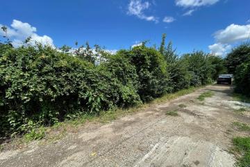 Фото №5: Земельный участок 4.41 сот. - Краснодар, мкр. СНТ Солнышко, ул. Виноградная, 750