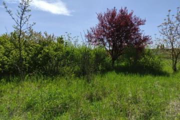 Фото №2: Земельный участок 6 сот. - Екатериновский, п. Молодых Комсомольцев № 1, ул. Суворова