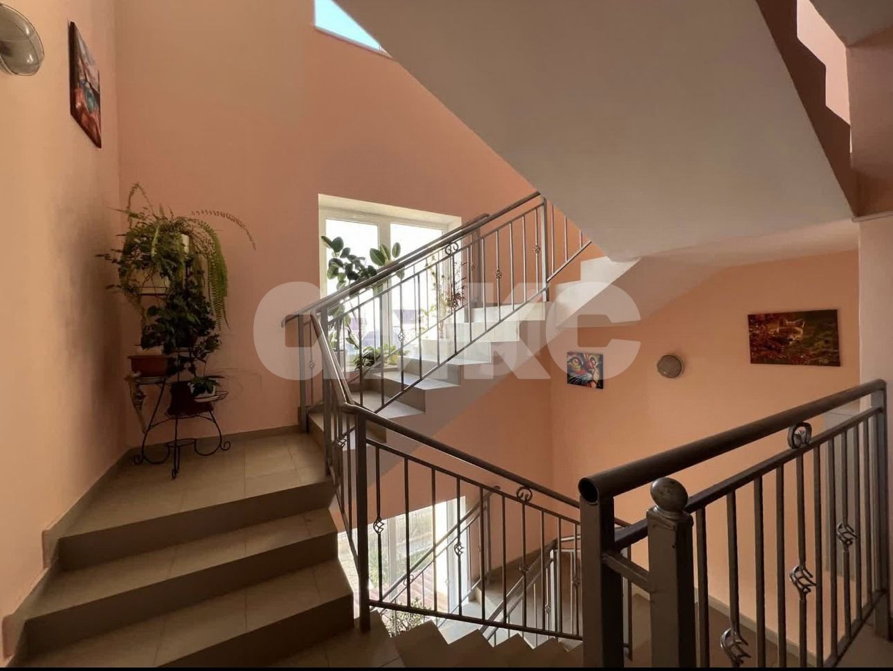 Фото №12: 1-комнатная квартира 36 м² - Витязево, ул. Воина Шембелиди, 24