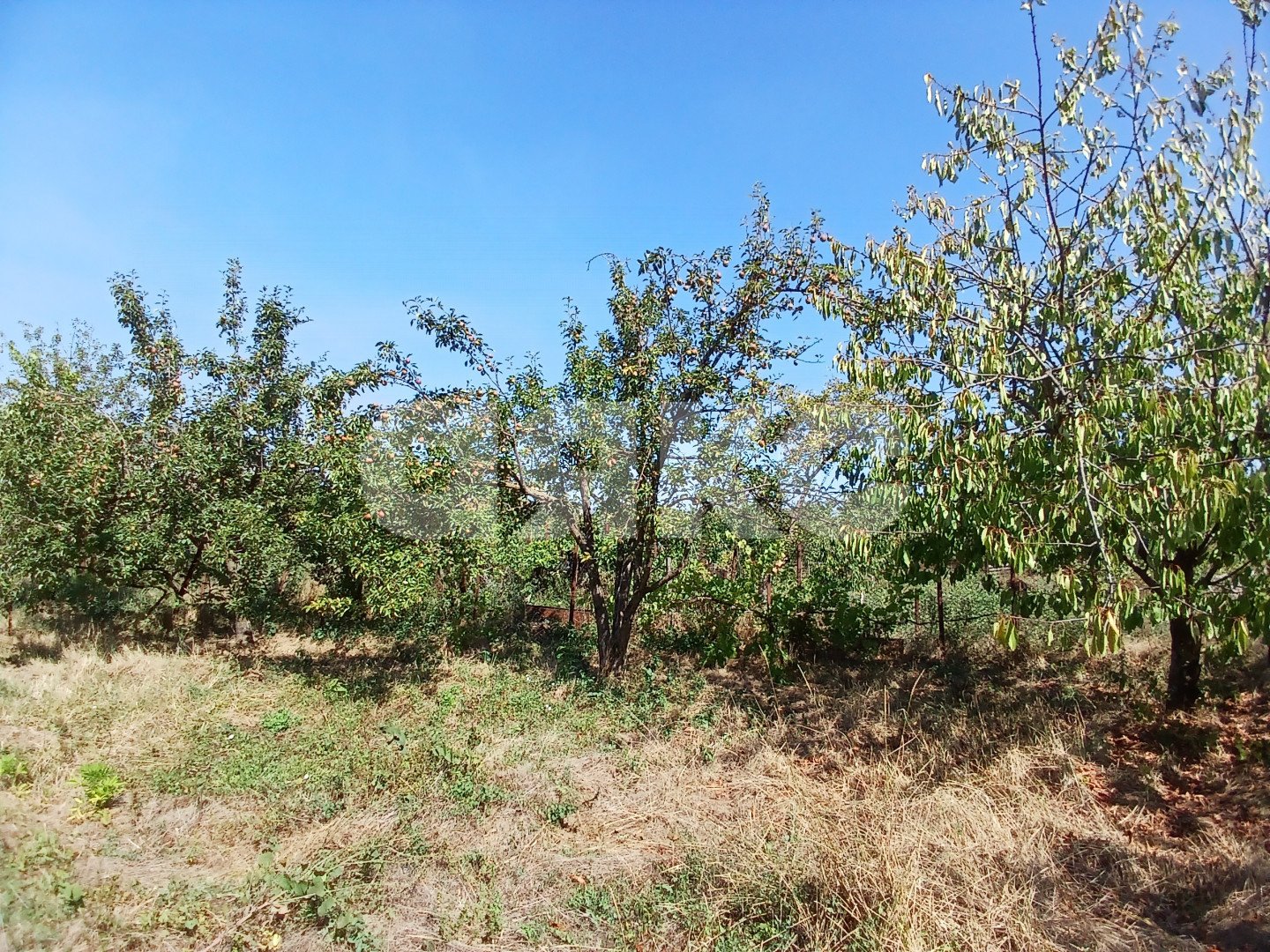 Фото №13: Дом 124 м² + 11.5 сот. - Бужор, ул. Родниковая, 19Б