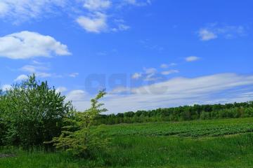 Фото №1: Коммерция 220 м² - Краснодарский край Апшеронский район