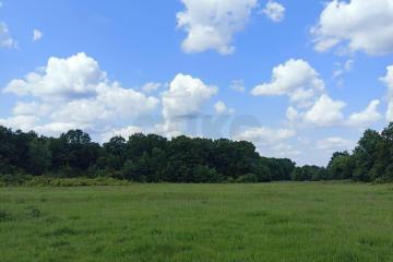 Фото №5: Коммерция 220 м² - Краснодарский край Апшеронский район